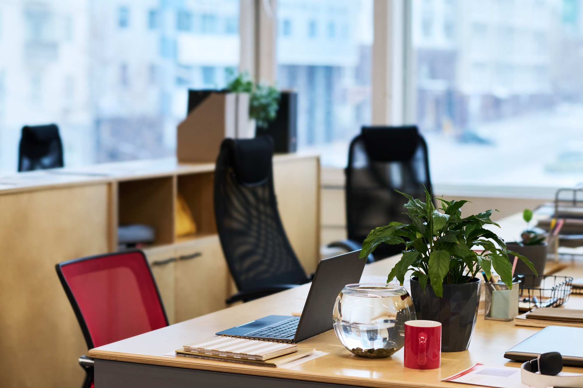 Wrongful Dismissal Claims - What Employers Need to Know